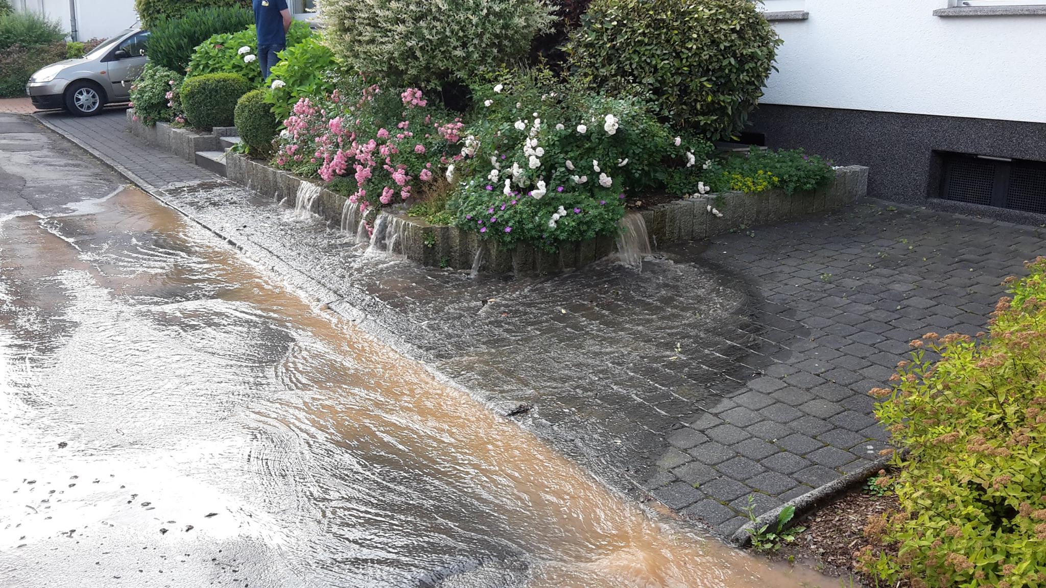 wasser_nl