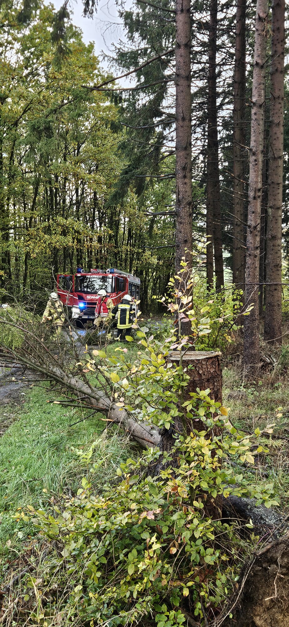 Herbststürme „Luise“ und „Manja“ sorgen für mehrere Feuerwehreinsätze